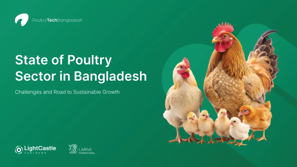 Unlocking Sustainable Growth: Policy Roadmap for Bangladesh’s Poultry Sector