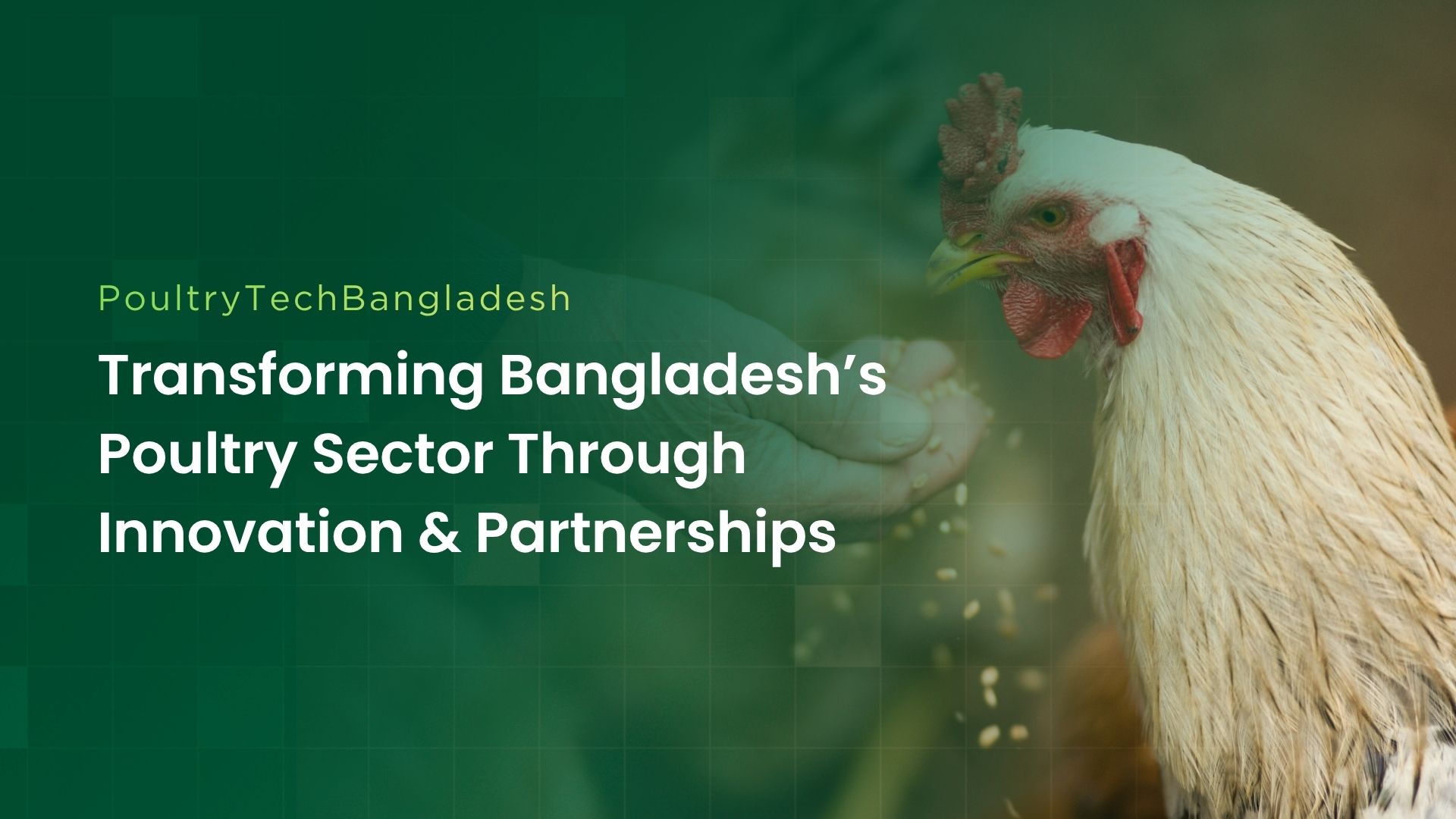 PoultryTechBangladesh: Transforming Bangladesh’s Poultry Sector Through Innovation & Partnerships