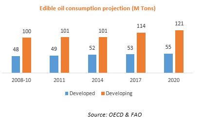 Edible Oil Consumption Projection