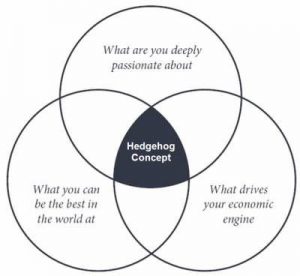 Hedgehog concept venn diagram