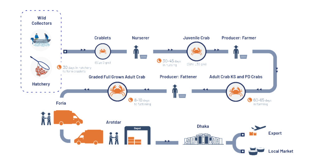 Bangladesh Crab Value Chain