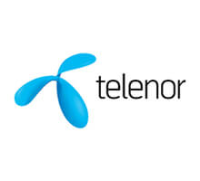 telenor-lightcastle