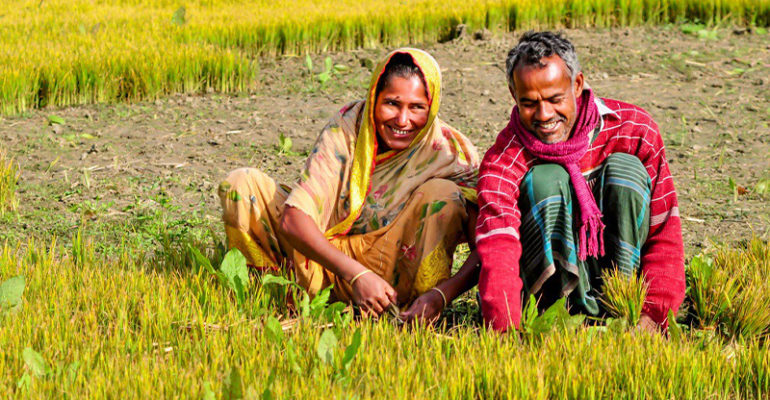 Assessing The Impact of Gender Integration and Women Empowerment in Agriculture