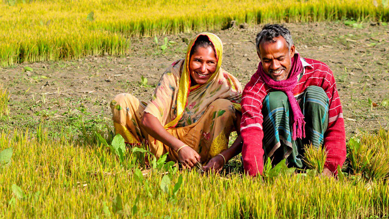 Assessing The Impact of Gender Integration and Women Empowerment in Agriculture