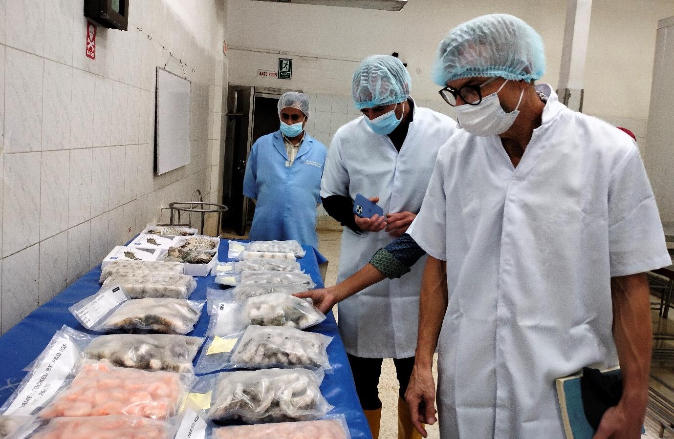 Field team visiting the shrimp processing facility of Gemini Sea Food Ltd.