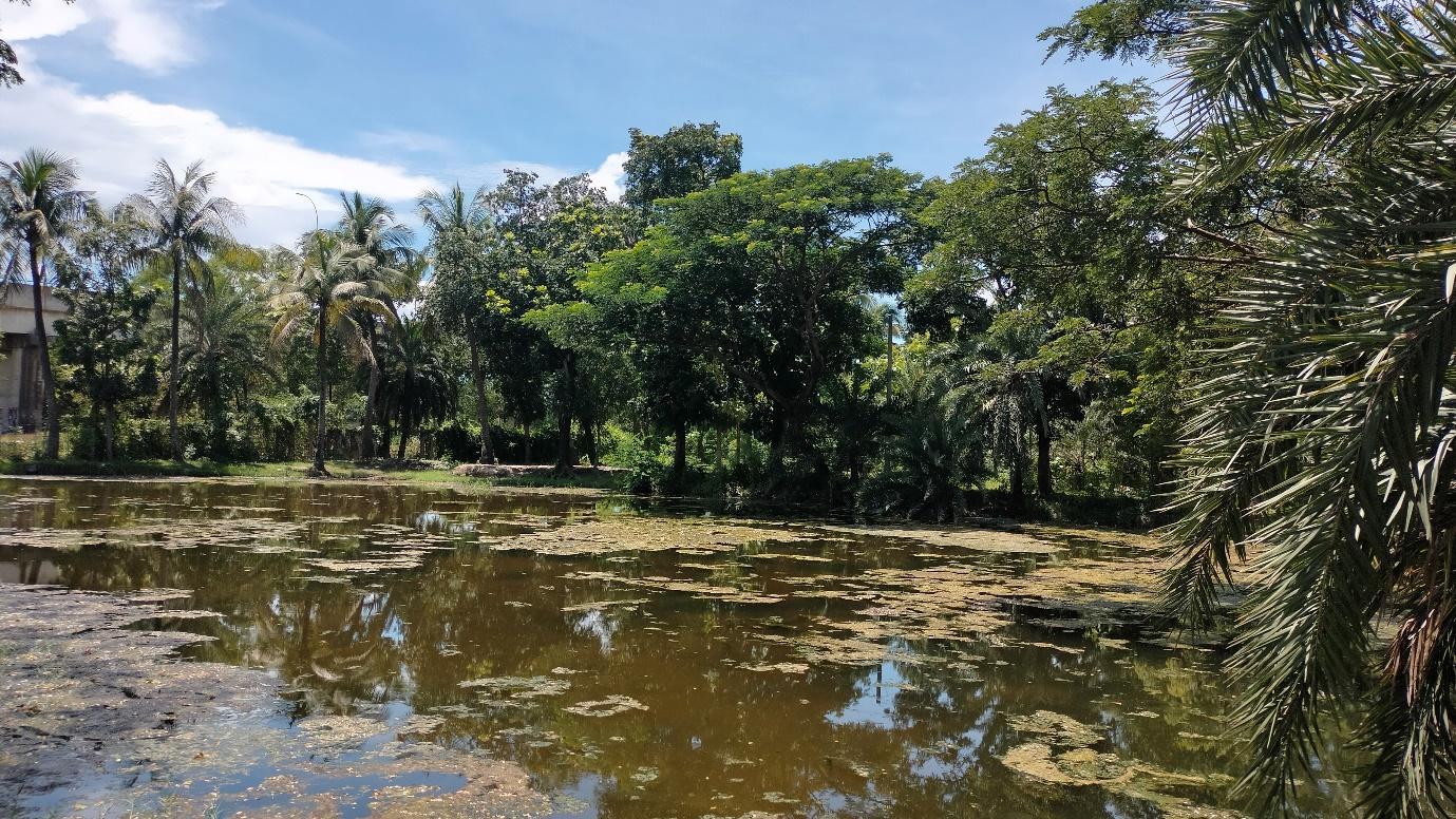 Proposed CoE site at Jabusha, Khulna