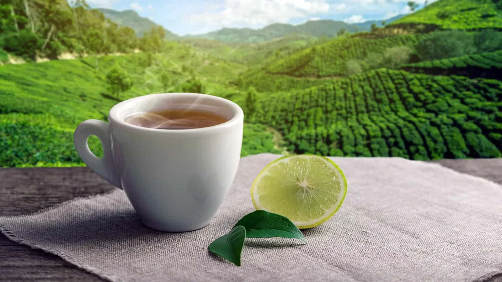 Tea industry report feature