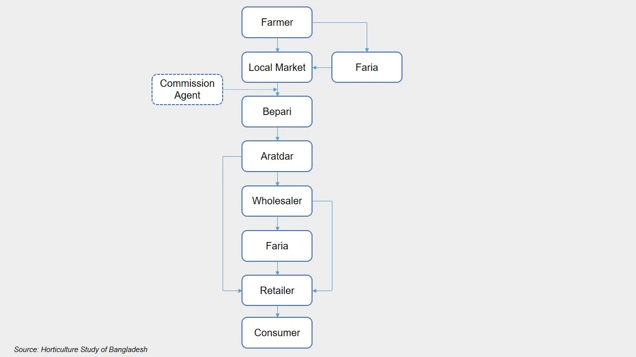 Figure: Simplified Version of the Horticultural Value Chain