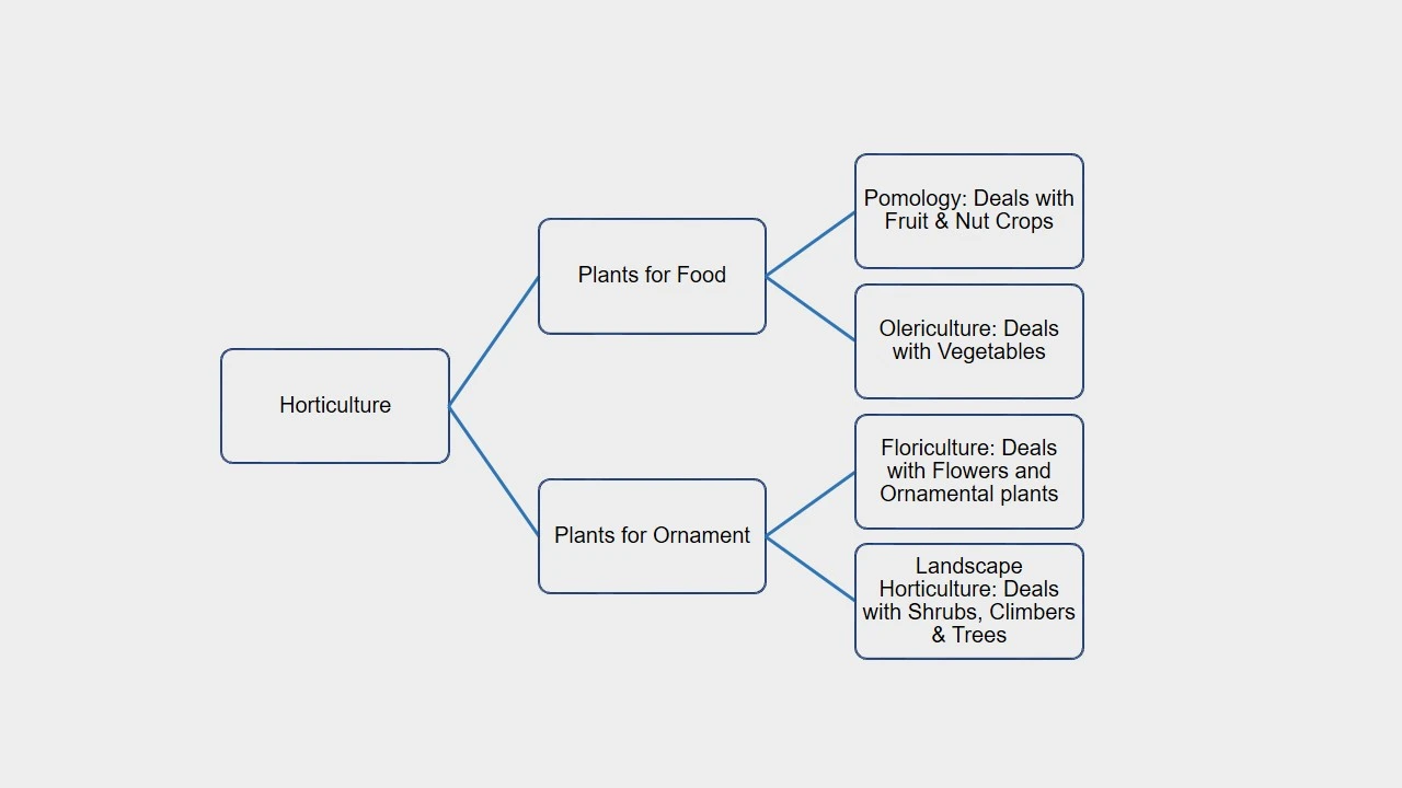 Figure: Breakdown of Horticulture Segment of Agriculture Science