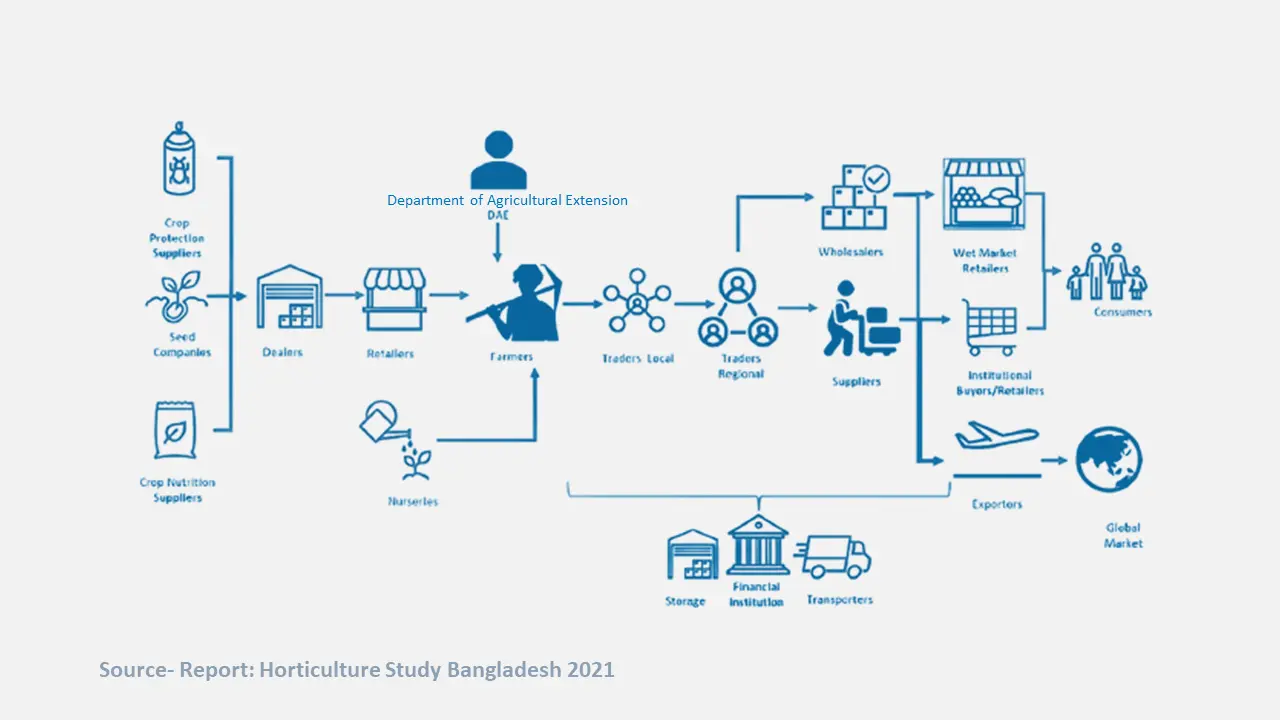 Breakdown of the Challenges Persisting in the Horticultural Value Chain in Bangladesh