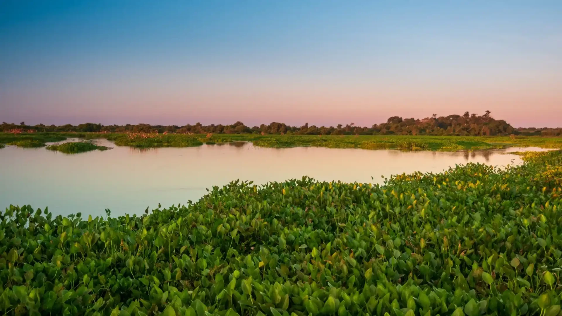 Envisioning a Greener Bangladesh: Climate Adaptation, Resilience, and the Case to Finance