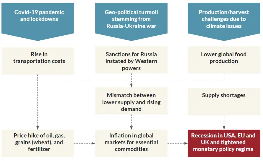 Implications of Global Macroeconomic Shocks on Digital Financial Services