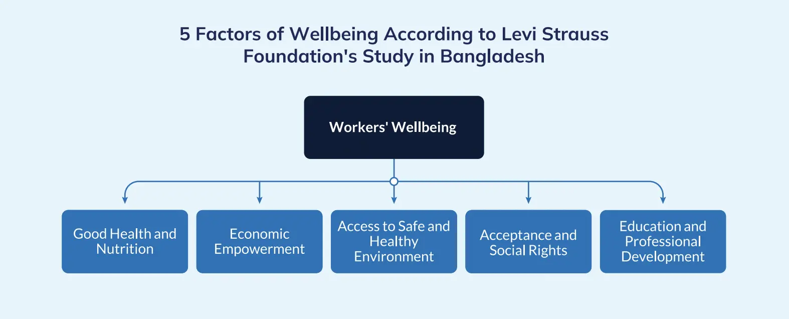  5 Factors of Wellbeing 
