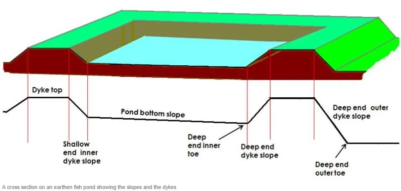 typical semi-intensive fish pond 