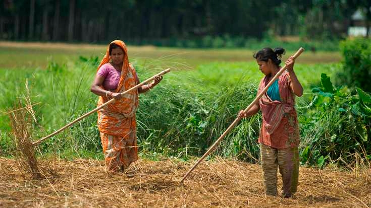 Balancing Act: Can Bangladesh’s Agriculture Budget Achieve Both Growth and Stability?