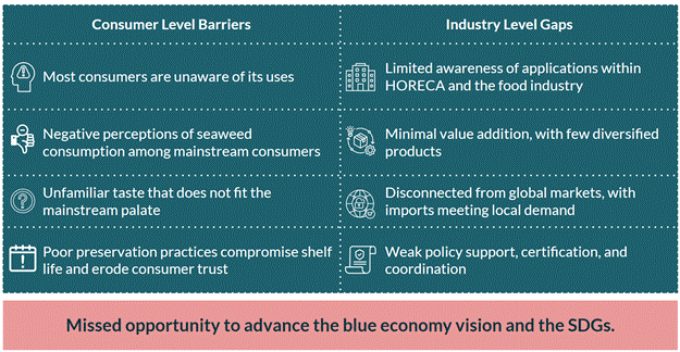 Demand-side Bottlenecks; Source: Author’s Illustration