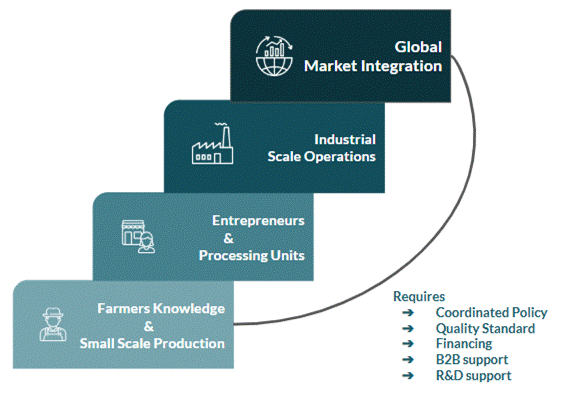 Way Forward to Connect with the Global Market; Source: Author’s illustration
