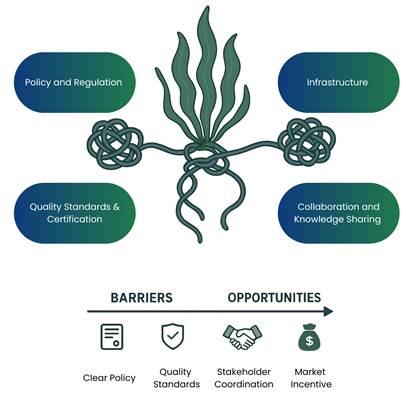 The Tangled Web of Structural Barriers; Source: Author’s Illustration