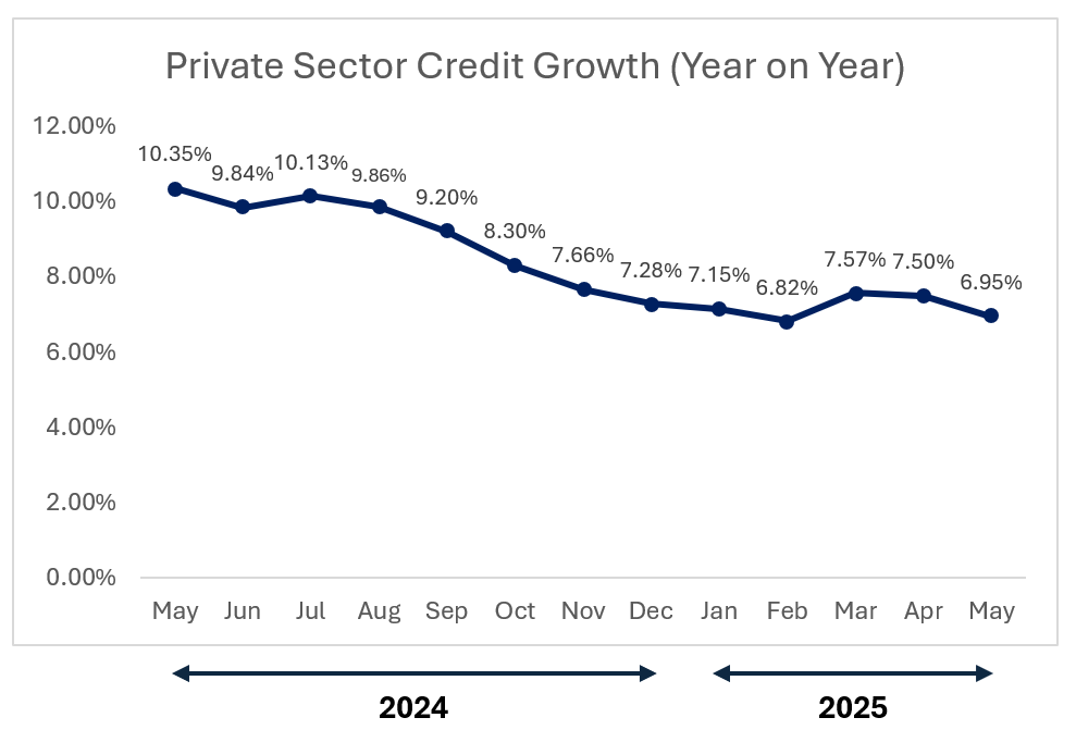 Private Sector Credit Growth (Year on Year)
