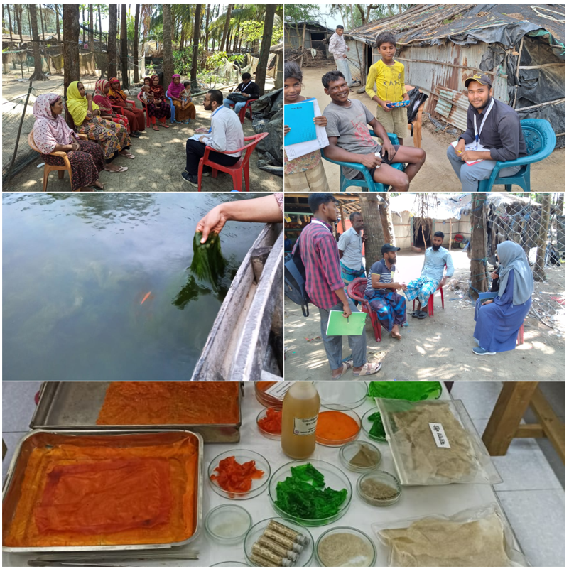 Snippets from the study on Bangladesh's Seaweed Sector