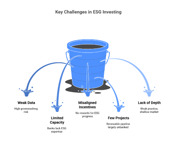 Key challenges in scaling ESG finances 