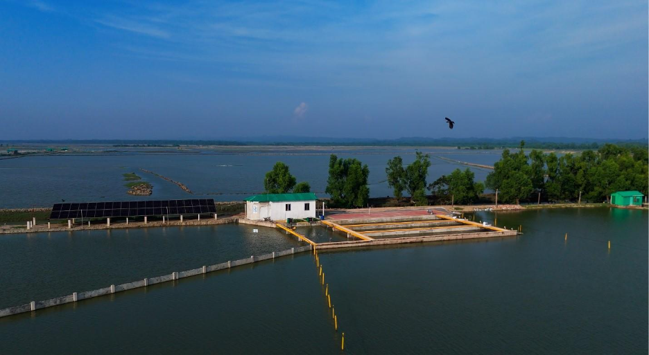 Solar-powered CoE at Cox’s Bazar