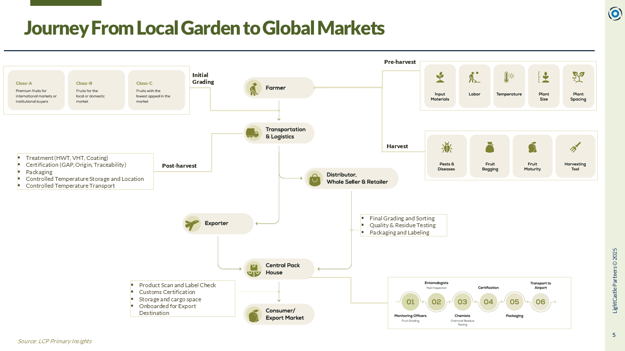 Infograph-on-Value-Chain